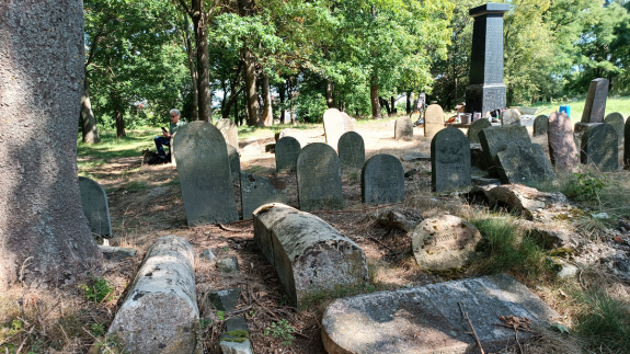 Pomóżmy w pracach restauratorskich na cmentarzu żydowskim "bagnówka".